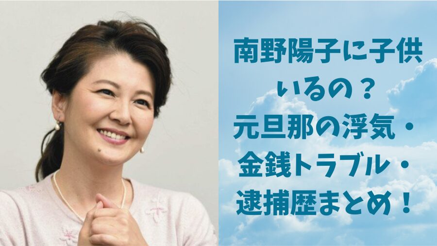 南野陽子　記事アイコン画像